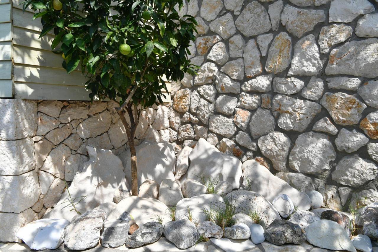 Villa Christianna Studios Ayios Nikitas Ngoại thất bức ảnh